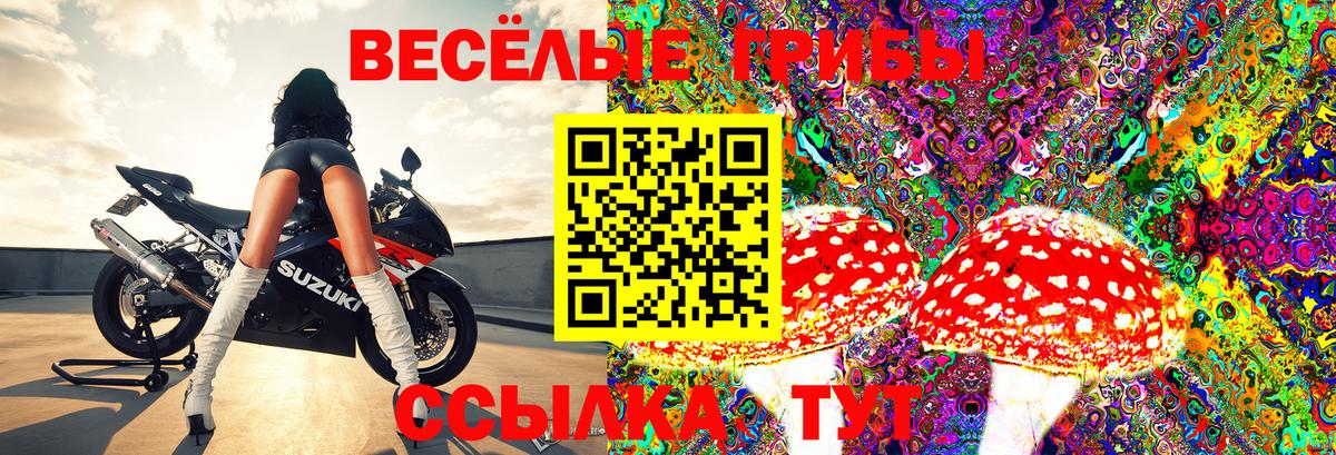 Псилоцибиновые грибы Magic Shrooms  Псилоцибиновые грибы GOLDEN TEACHER  Вход с VPN  Новотроицк 